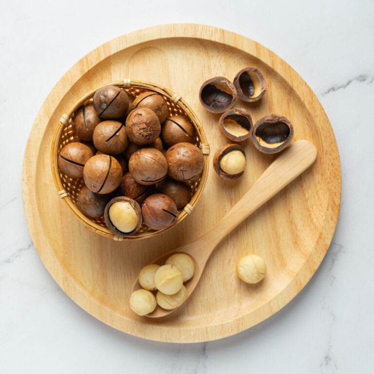 Ukuran Kacang Macadamia: Panduan Lengkap Style 0, 4L, dan S6 untuk Industri Bakery & F&B